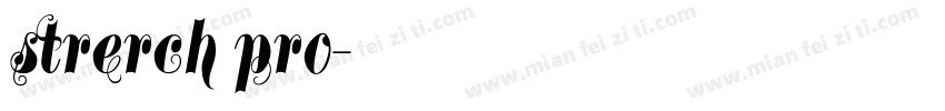 strerch pro字体转换